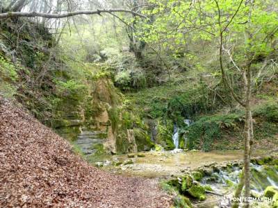 Parque Natural de Nansa y el Alto Besaya;ruta desfiladero de la xana excursiones a caballo sierra de